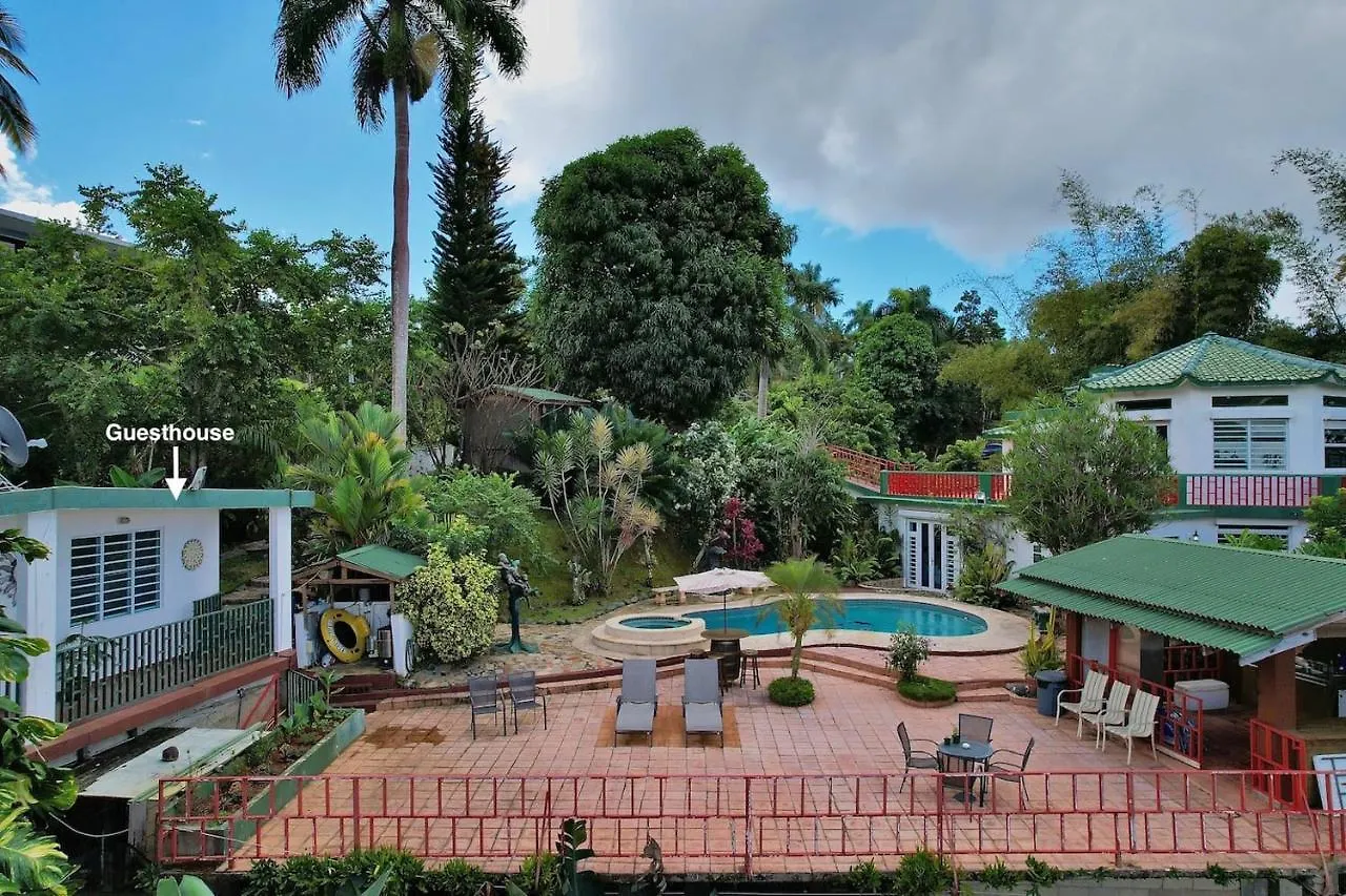 Pancho'S Paradise - Rainforest Guesthouse With Pool, Gazebo And View Canovanas プエルトリコ