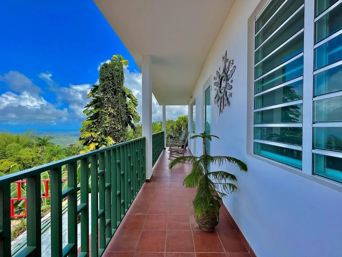 ゲストハウス Pancho'S Paradise - Rainforest Guesthouse With Pool, Gazebo And View Canovanas プエルトリコ