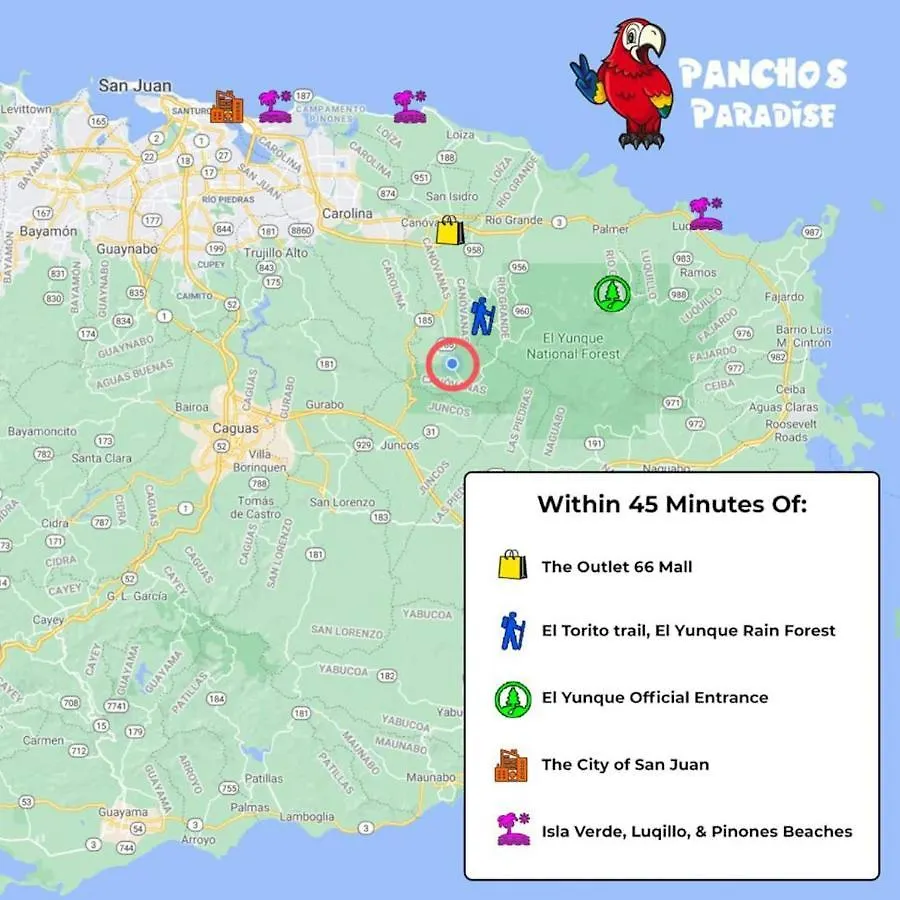 Pancho'S Paradise - Rainforest Guesthouse With Pool, Gazebo And View Canovanas プエルトリコ