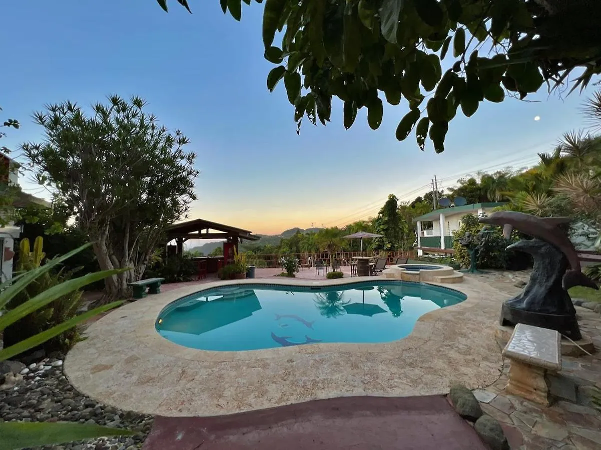 Pancho'S Paradise - Rainforest Guesthouse With Pool, Gazebo And View Canovanas ゲストハウス