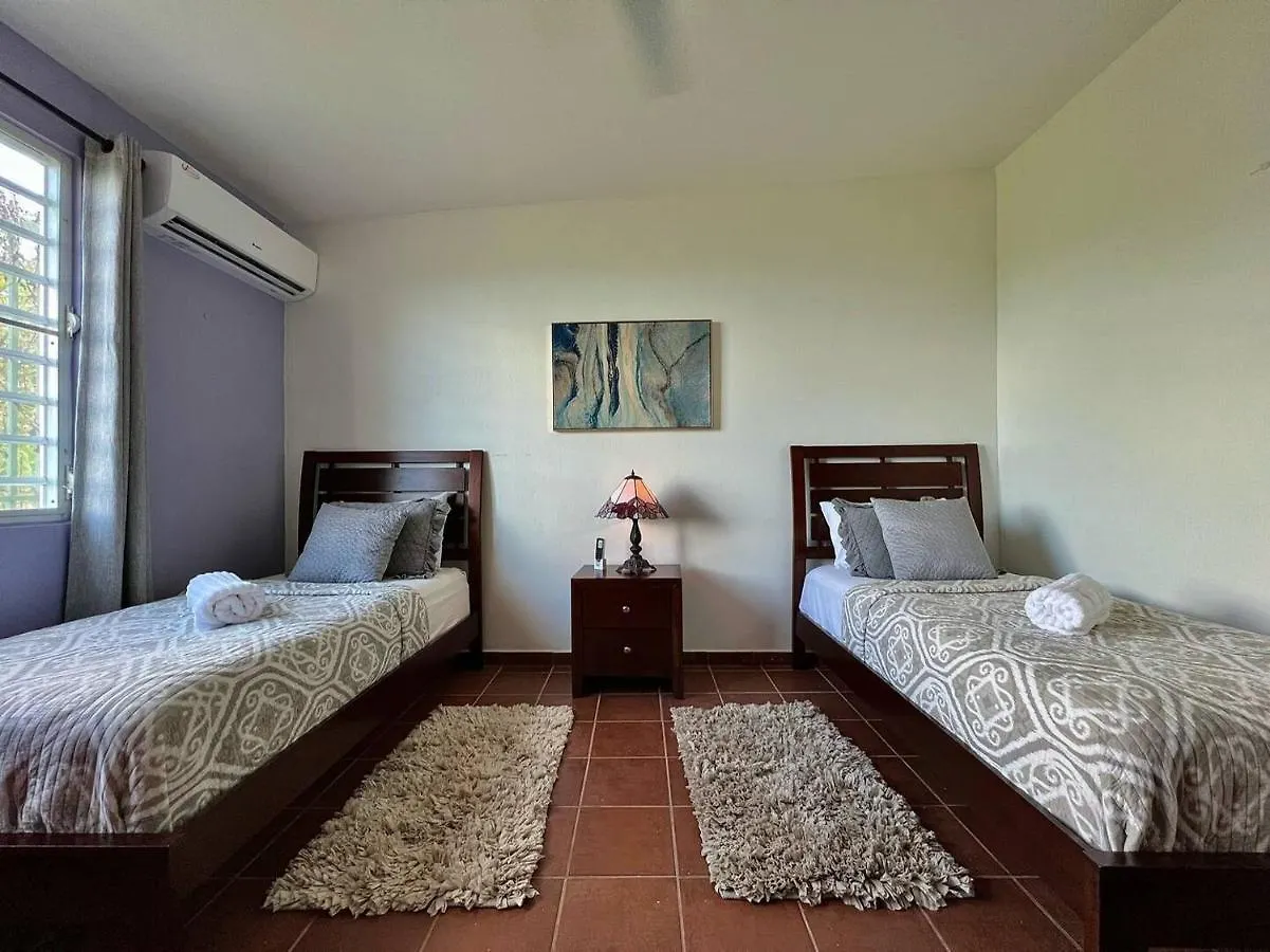 ゲストハウス Pancho'S Paradise - Rainforest Guesthouse With Pool, Gazebo And View Canovanas