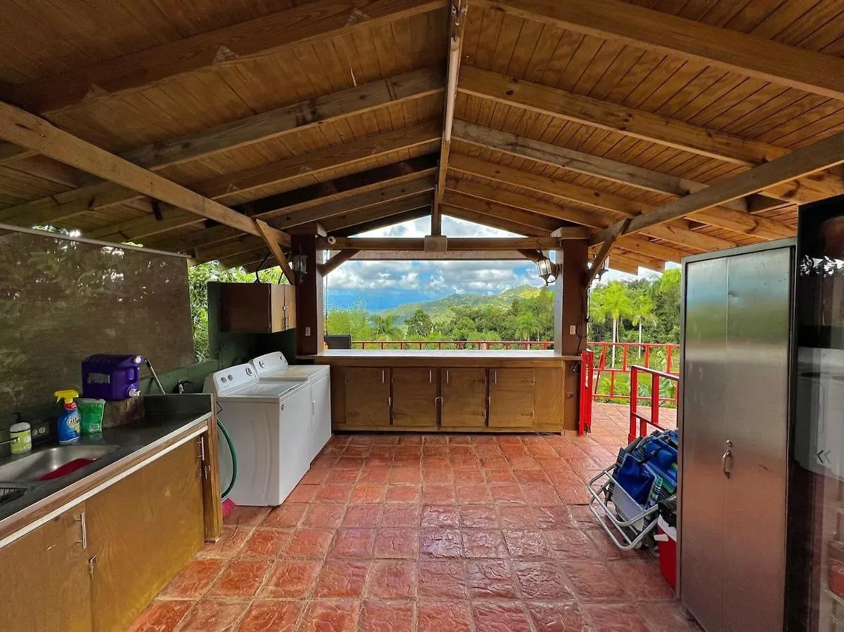 Pancho'S Paradise - Rainforest Guesthouse With Pool, Gazebo And View Canovanas ゲストハウス