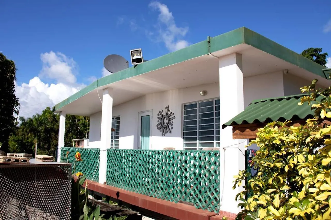 Pancho'S Paradise - Rainforest Guesthouse With Pool, Gazebo And View Canovanas 0*,  プエルトリコ