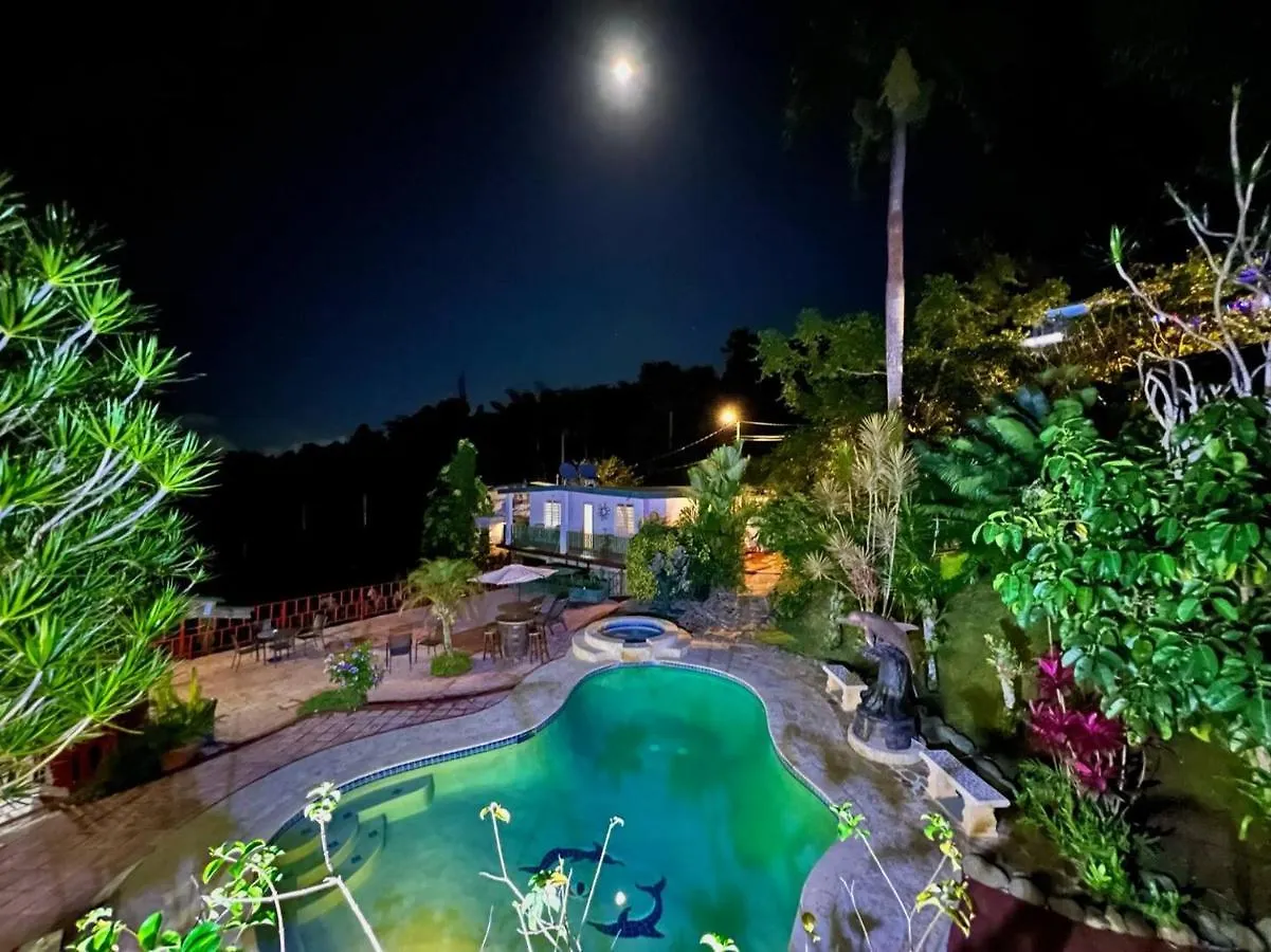 Pancho'S Paradise - Rainforest Guesthouse With Pool, Gazebo And View Canovanas