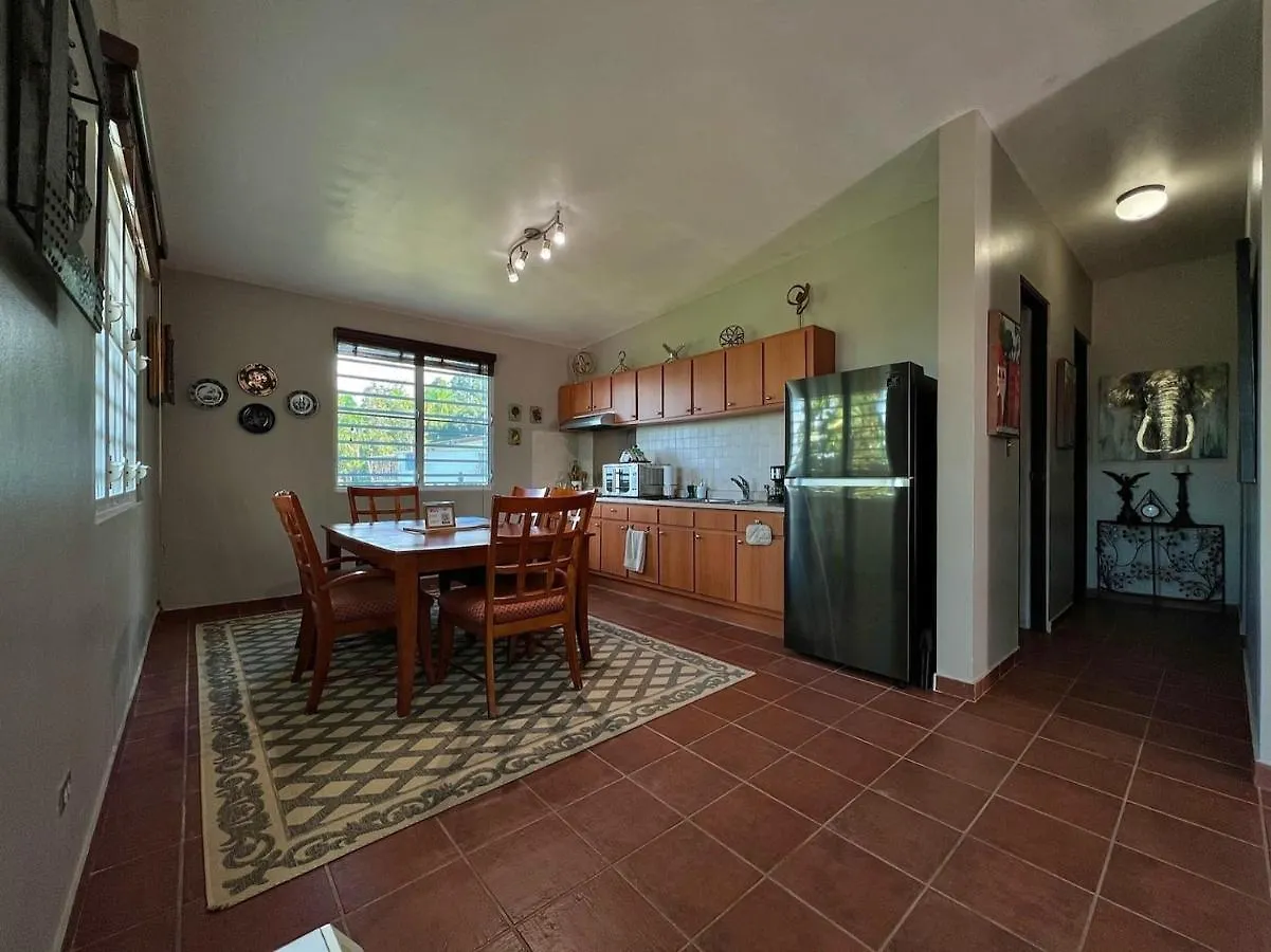 Pancho'S Paradise - Rainforest Guesthouse With Pool, Gazebo And View Canovanas